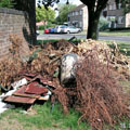 Garden Clearance